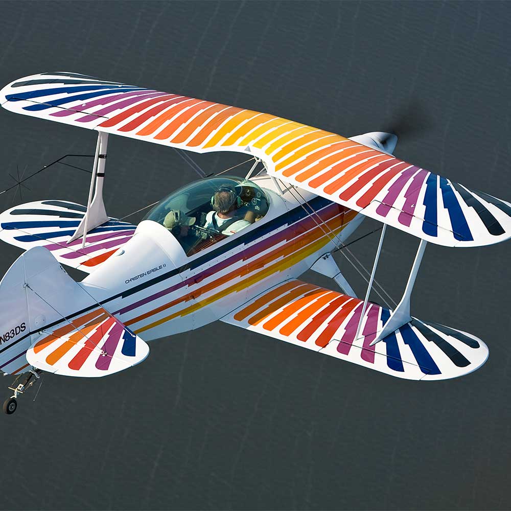 Aviat Aircraft飞机 Eagle