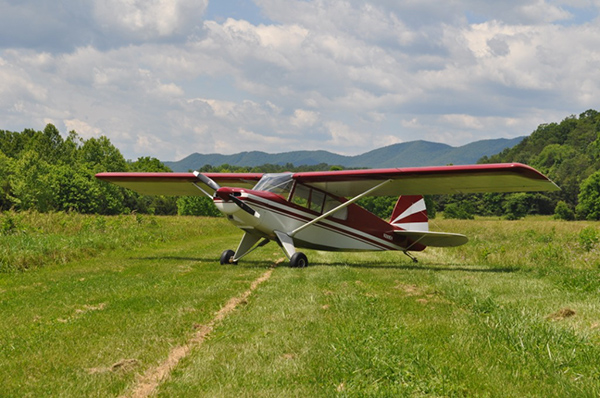 Bearhawk飞机 LSA