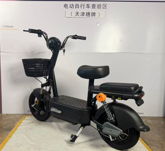 suipai穗牌新新国标电动车——黑色