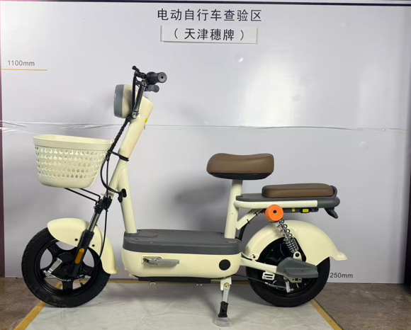 suipai穗牌新新国标电动车——灰色