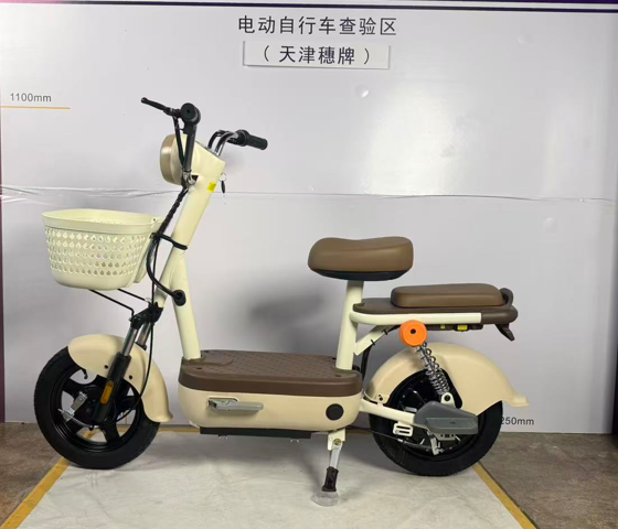 suipai穗牌新新国标电动车——咖色