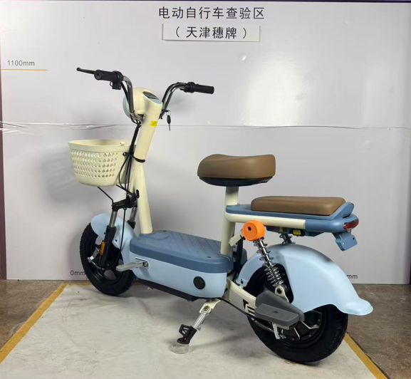 电动车政策：新国标电动车专家是谁