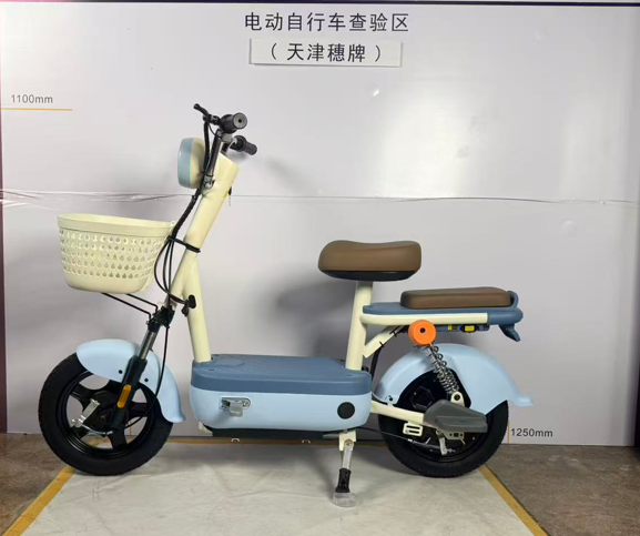 suipai穗牌新新国标电动车——蓝色