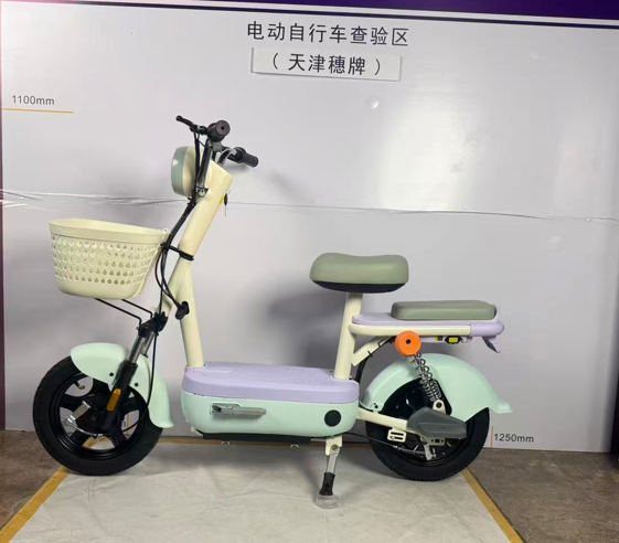 suipai穗牌新新国标电动车——紫、浅绿色