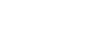 穗牌电动车